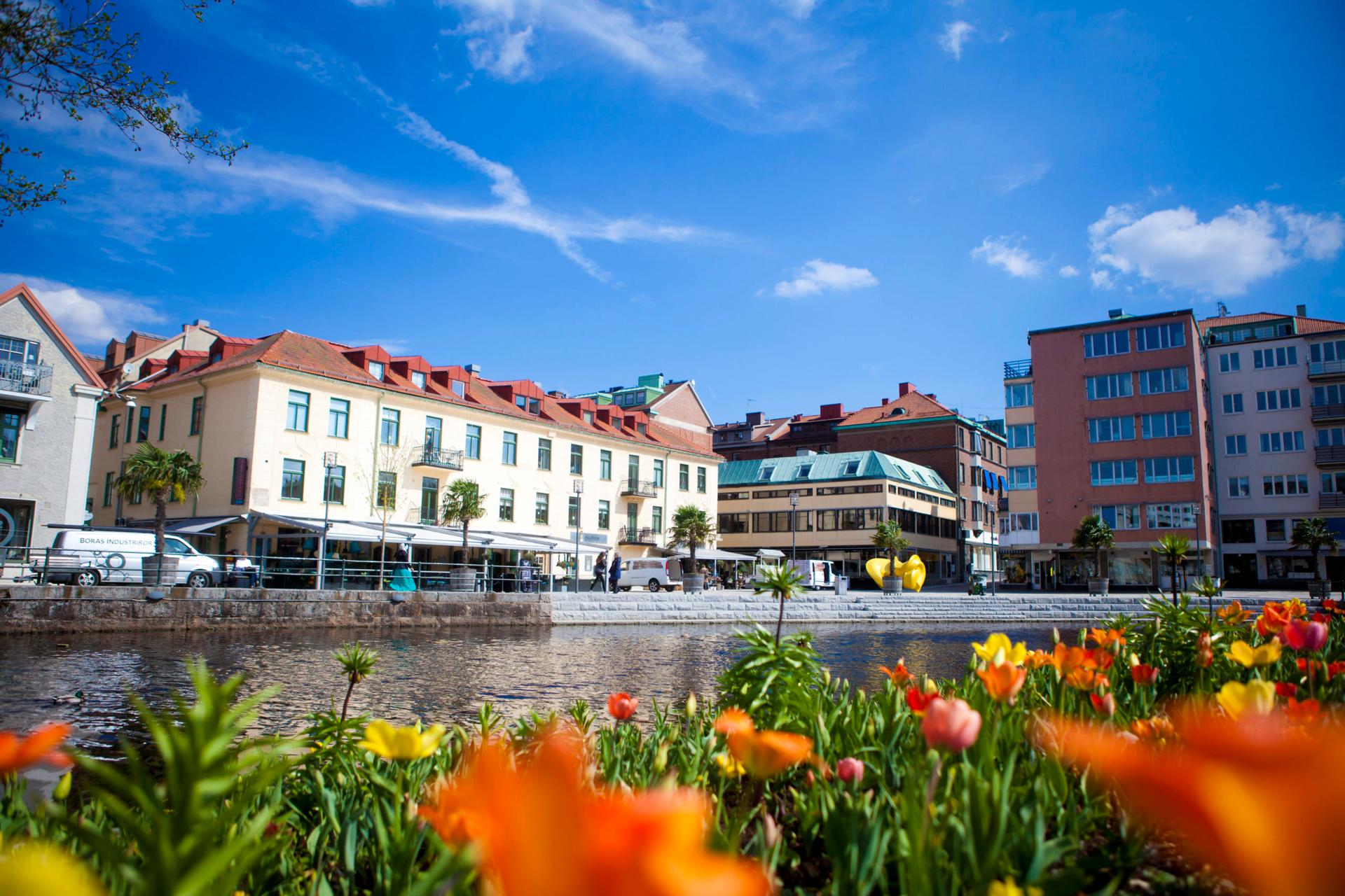 Ekonomisk förvaltning för bostadsrättsföreningar (BRF) i Borås
